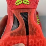 Kobe VI Protro - Image 6