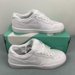 Nike SB Force 58