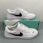Nike SB Force 58