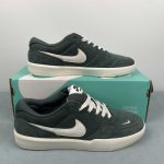 Nike SB Force 58
