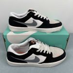 Nike SB Force 58